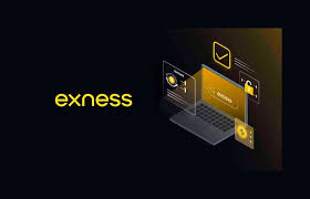 Everything You Need to Know About Exness Web Platform Everything You Need to Know About Exness Web Platform